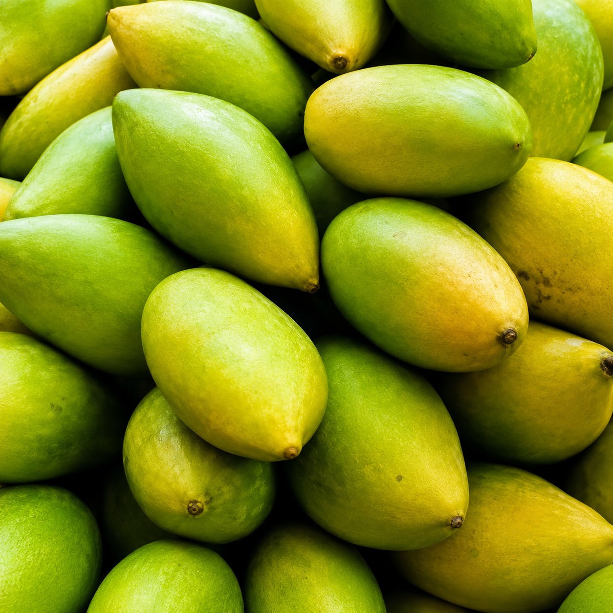 Thotapuri / Bengulura Mangoes